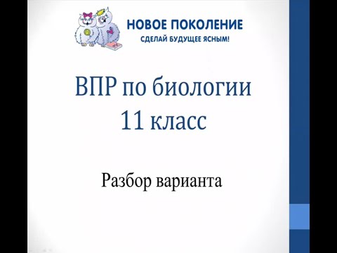 Видео: Биология. Разбор варианта ВПР по биологии 11 класс 2022