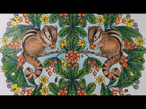 Видео: Октябрь 2022. Раскрашенные страницы