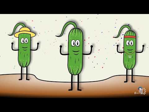 Видео: Одержуємо число 0  Віднімаємо однакові числа