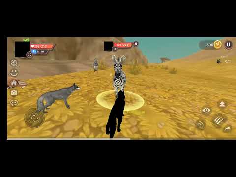 Видео: 22 октября 2025 г.