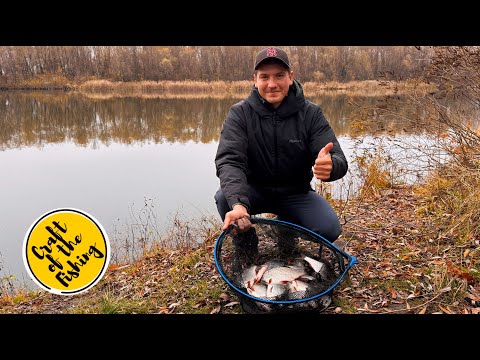 Видео: КРУПНА плотва іде по ДЕСНІ ! Осінній жор в листопаді | Фідер на Десні.