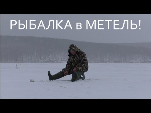 Видео: ОТКОПАЛ ЛУНКУ И ПОНЕСЛОСЬ! / РЫБАЛКА В МЕТЕЛЬ!