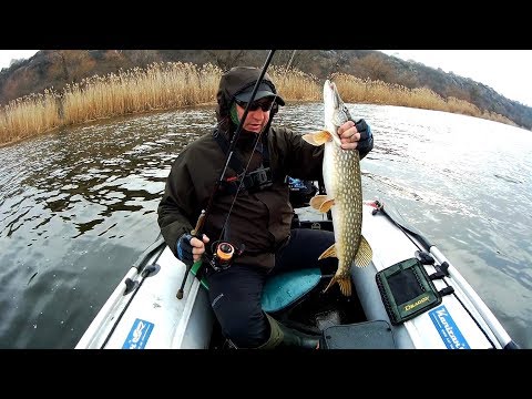 Видео: Последний выход перед  запретом.Три спиннинга.