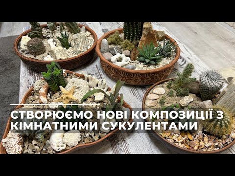 Видео: Створюємо нові композиції з кімнатними сукулентами