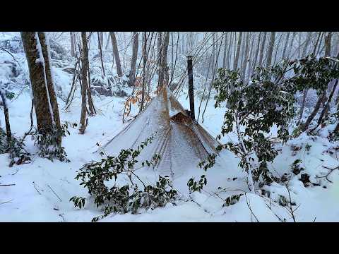 Видео: Зимний кемпинг Bushcraft с собакой в ​​глубоком снегу | Кулинария в лагере выживания