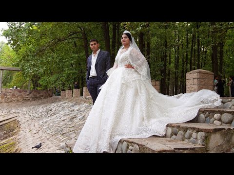 Видео: Цыганская свадьба г. Михайлов Коля и Даяна 20.08.2022 г.
