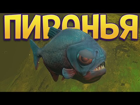 Видео: Я ПИРАНЬЯ ( Feed and Grow: Fish )