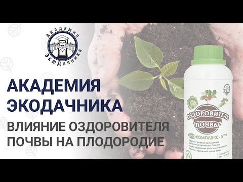 Видео: Влияние Оздоровителя почвы на плодородие  | Академия Экодачника Здоровье почвы | 1 лекция