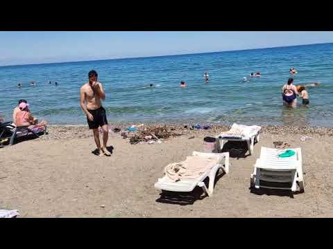 Видео: alexius beach hotel 4*Бельдиби, Обзор территории отеля.
