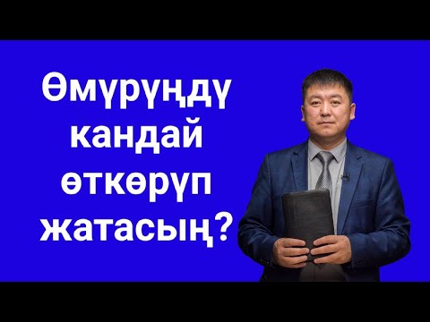 Видео: Өмүрүңдү кандай өткөрүп жатасың?