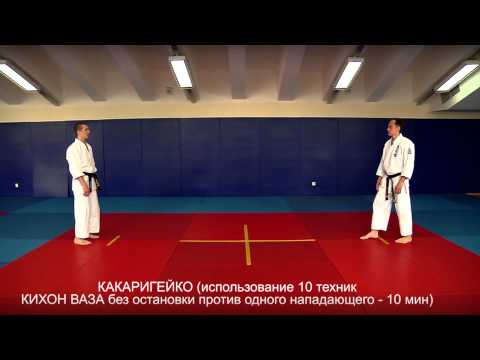 Видео: Аттестационная программа Томики айкидо 8-1 кю - ФТА