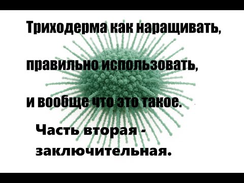Видео: Триходерма. Как правильно наращивать и использовать, так чтобы был виден результат. Часть вторая.