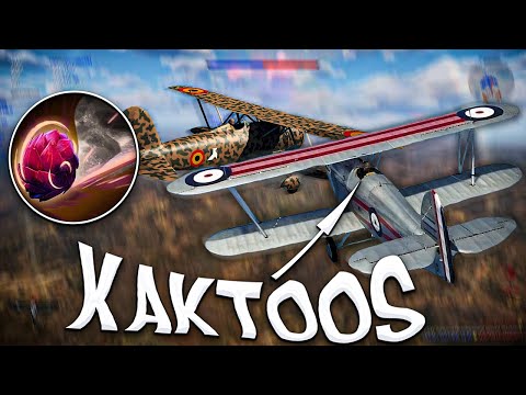 Видео: ТОП 10 ПАНГОЛЬЕР EU ЗАВЯЗАЛ С ДОТОЙ И ИГРАЕТ В WARTHUNDER + АРМА 3 РП СМОТР СТАРОЙ НАРЕЗКИ