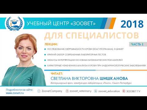 Видео: Шишканова С. В. в УЦ «Зоовет» | ч.1