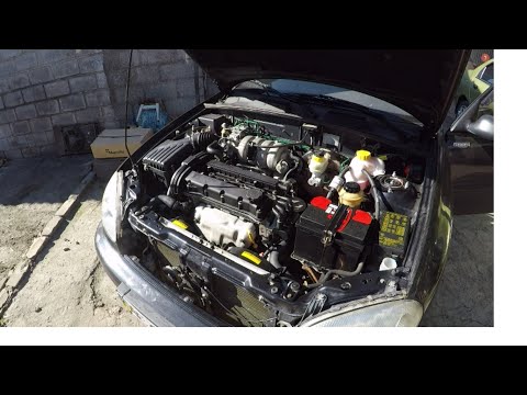 Видео: Видео отчет:Гидрокомпенсаторы,ГРМ,Помпа.КПП масло.Ланос 1.6.