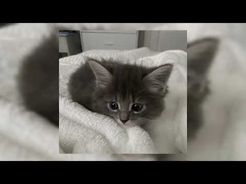 Видео: mzlff - мои маленькие кошмары (speed up)