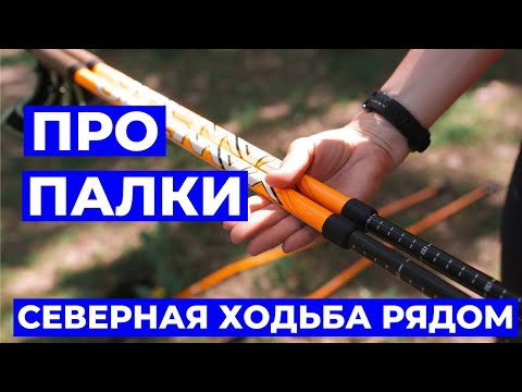 Видео: Как Выбрать Палки для Северной Ходьбы: Полное Руководство | Северная Ходьба Рядом