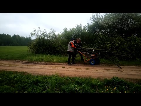 Видео: Огороду на хуторе быть...?