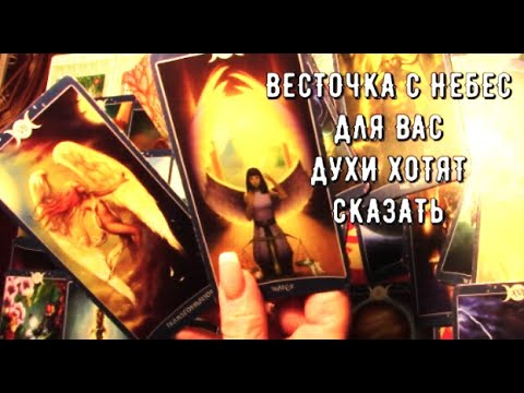 Видео: Весточка с небес для Вас 🕊️ ❗️ Духи Хотят Что бы Вы об этом Знали ❗️♥️ Таро знаки Судьбы  #tarot