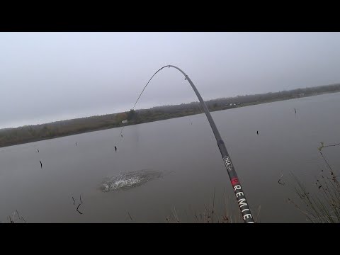 Видео: Якби я його впіймав в дитинстві...