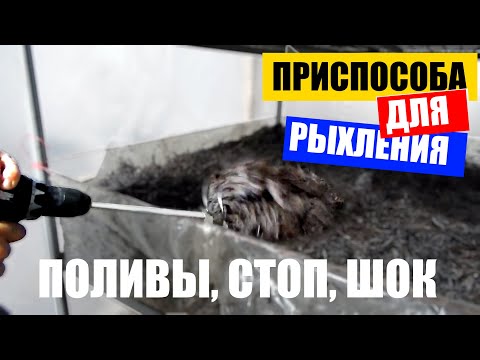 Видео: Выращивание шампиньонов.Зарастание, фаза стоп, фаза шок.