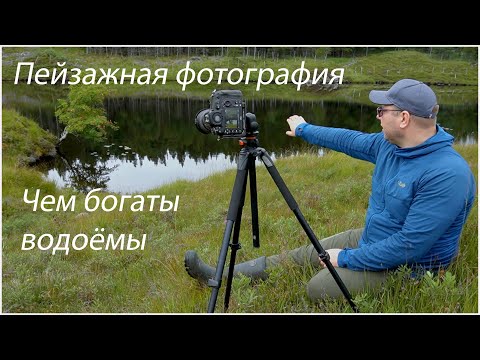 Видео: ПЕЙЗАЖНАЯ ФОТОГРАФИЯ. ЧЕМ БОГАТЫ ВОДОЁМЫ.