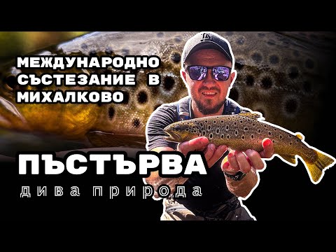 Видео: Край на сезона: Риболов на пъстърва в дива природа - Международно състезание в Михалково