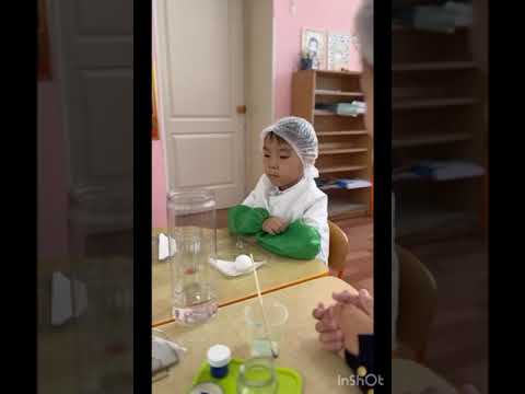 Видео: “Мен зерттеушімін” танымдық зерттеушілік республикалық байқаудың қалалық кезеңі.