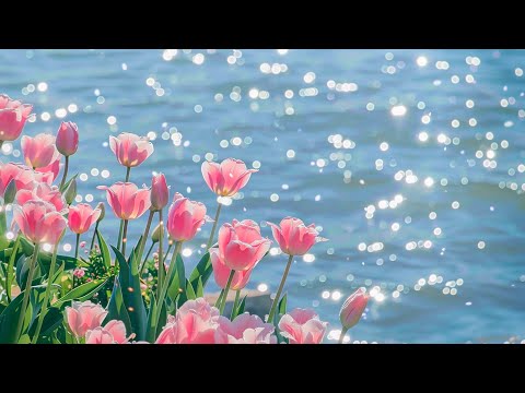 Видео: Красивая расслабляющая спокойная музыка🌺Целительная музыка для сердца и сосудов