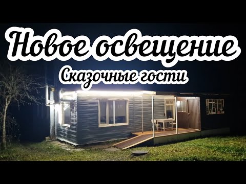 Видео: Уют по-деревенски💡Лиса и собака в гостях 🦊🐕 Чиню баню 🏠