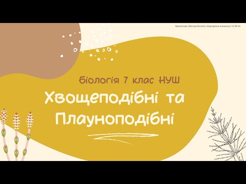 Видео: Біологія 7 клас НУШ Хвощеподібні та Плауноподібні