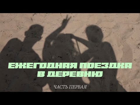 Видео: ep. 21 | на верхней полке с собакой, обзор дома, пытаемся искупаться и подготовка к вечеринке;