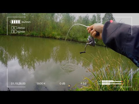 Видео: Они тоже живут в этих канавах! Поймаем их стеклянным спиннингом!