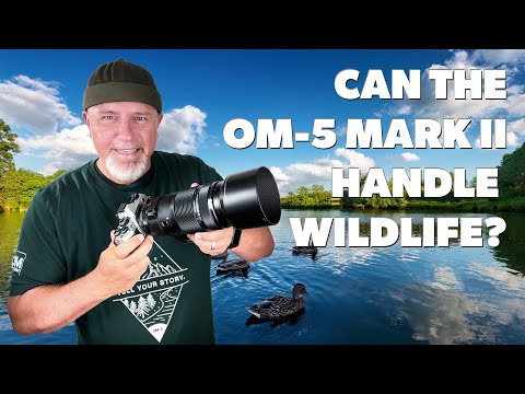 Видео: Я опробовал OM-5 Mark II для наблюдения за дикой природой, и вот что получилось!