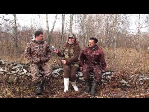 Видео: Гончие породы собак. Эстонская гончая