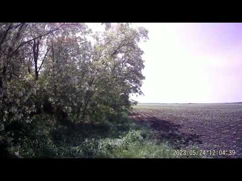 Видео: Авантюра.Синица в руках 7,5 кг мёда на белой акации, рванули за журавлём в небе ........