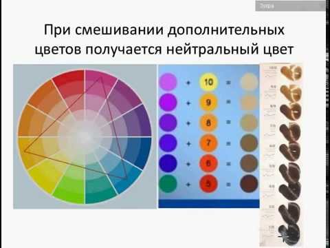 Видео: Основы колористики. Применение в окрашивании волос, макияже и стилистике.