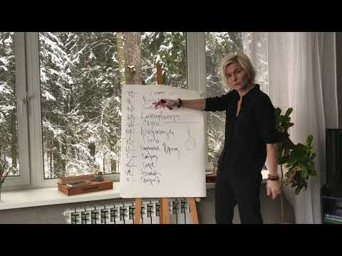 Видео: ШКАЛА ЭМОЦИОНАЛЬНЫХ ТОНОВ. Часть 3.