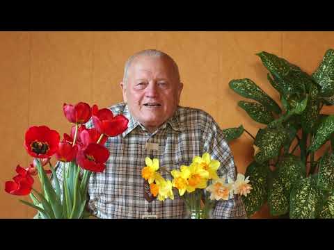 Видео: Как восстановить почву органикой и биологией