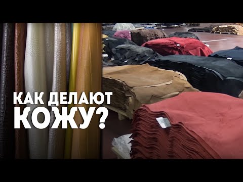 Видео: "До 26 рабочих дней!" Как из шкуры животного делают красивую кожу? | ЗАВОД