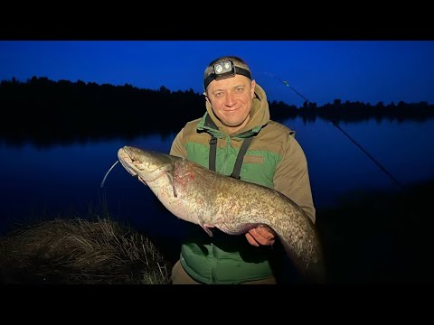 Видео: Роздача СОМА на ФІДЕР. Рибалка з ночівлею на Десні.