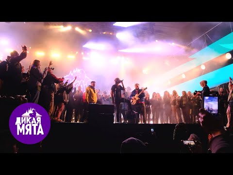 Видео: «Дикая Мята-2021» — единственное выступление на сцене Sirena