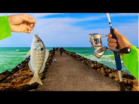 Видео: Я поймал большую рыбу-пинчонку у скал! (Ловля рыбы на снуке у причала Венеции), эпизод 4