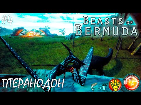 Видео: СИРОТКА ПТЕРАНОДОН | BEASTS OF BERMUDA |► Прохождение 4 Серия