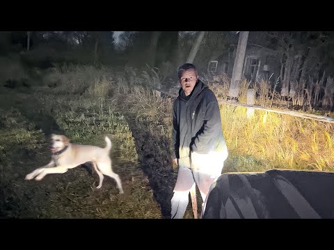 Видео: НАШЛИ В ЛЕСУ МОЛОДОГО ПАРНЯ ПОСЛЕ ИНСУЛЬТА.