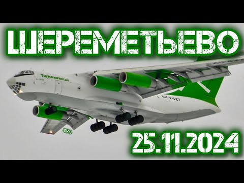 Видео: Споттинг в Шереметьево 25.11.2024