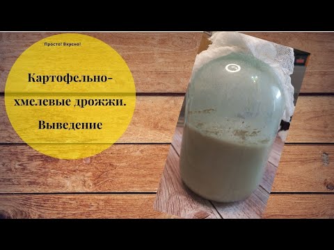 Видео: Картофельно-хмелевые дрожжи. Выведение дрожжей