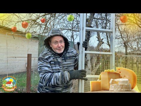 Видео: #475 Жизнь на кубанском хуторе. Добываем еду для коз и варим сыры