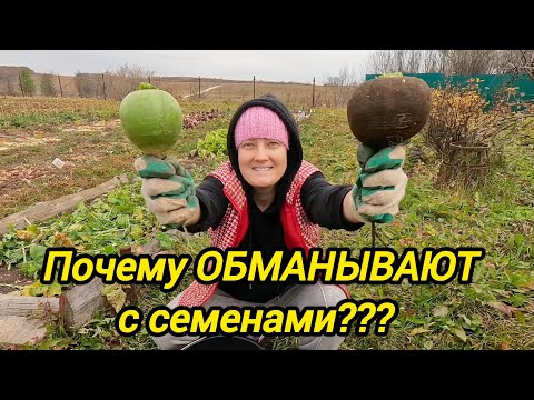 Видео: ПОЧЕМУ ОБМАНЫВАЮТ С СЕМЕНАМИ | Снова копаем | Дом в деревне | Семья в селе 