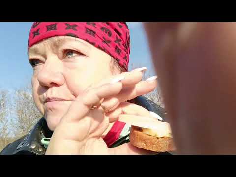 Видео: Грибов не нашли,но эмоциями зарядились. 